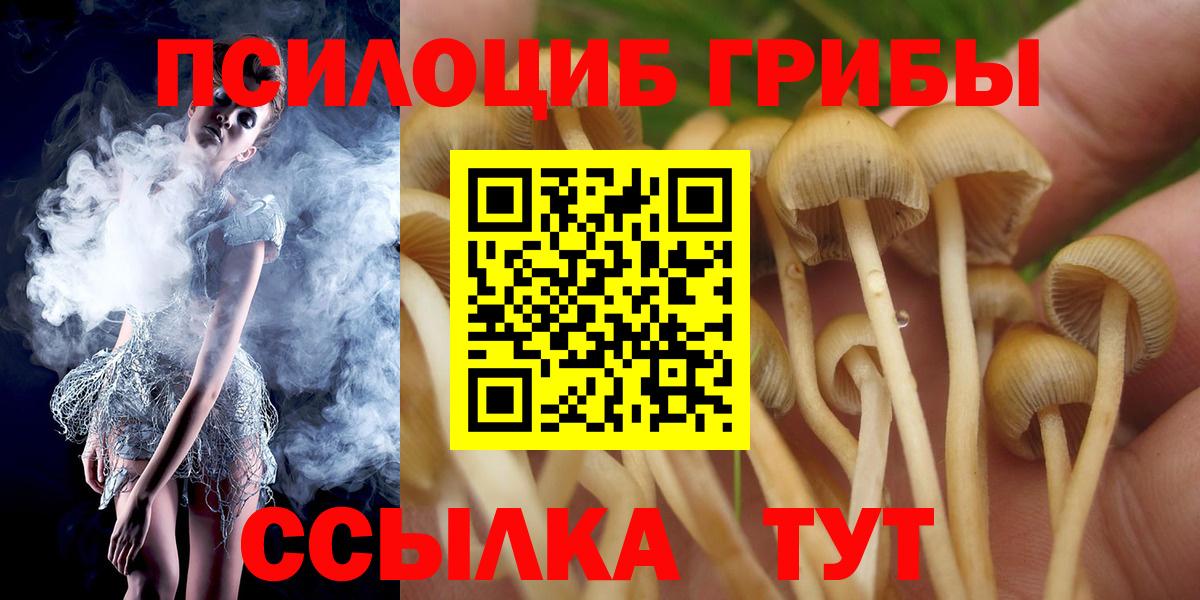 Псилоцибиновые грибы мицелий  Вход с VPN  Боровичи  Галлюциногенные грибы мухоморы 