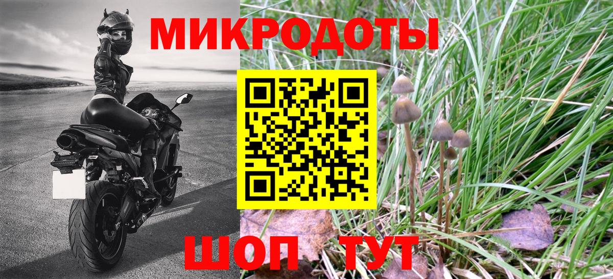 Псилоцибиновые грибы Cubensis Боровичи